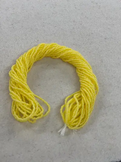 11 SEED 11SB622-TA PEARL OPAL MAIZE YELLOW