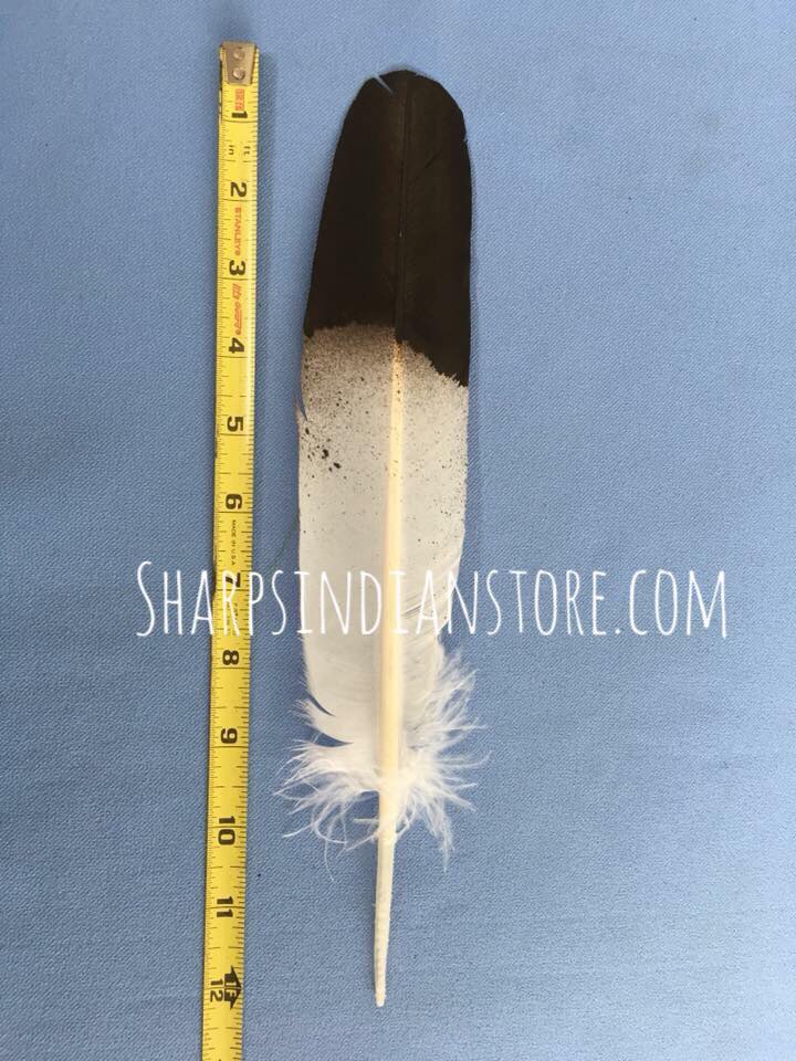 Hand-painted Eagle Feathers - The Wandering Bull, LLC