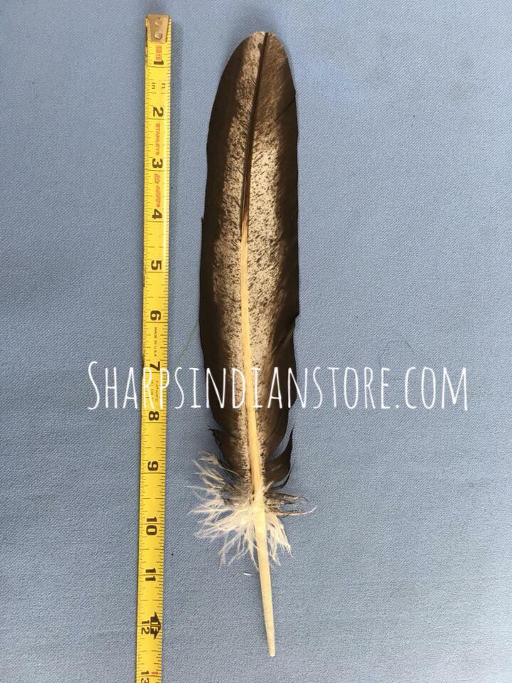 Hand Painted Imitation Eagle Feather